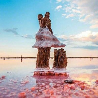 bat365在线平台官方网站